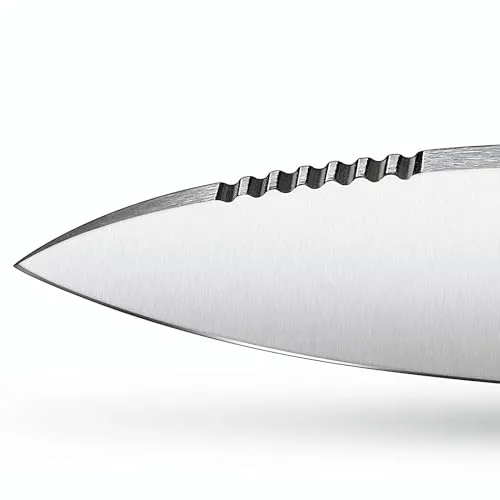 Victorinox Venture 2