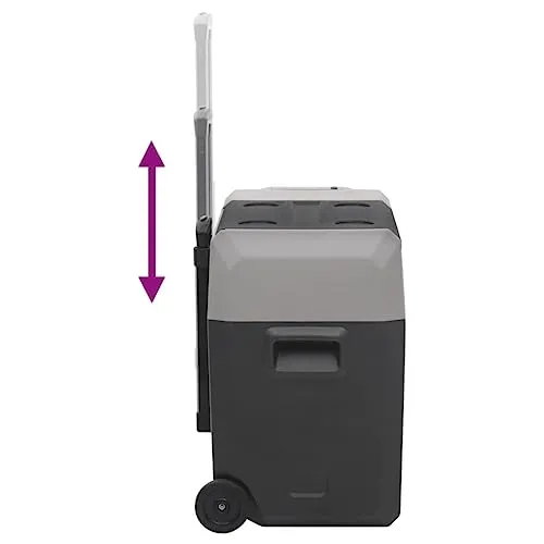 vidaXL Kühlbox UC 4