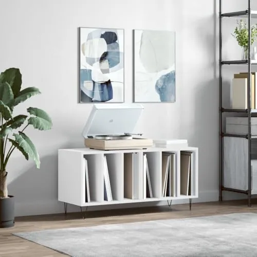 vidaXL Plattenschrank 2