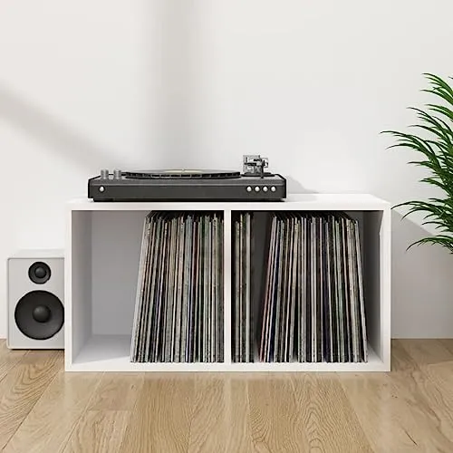 vidaXL Schallplatten-Aufbewahrungsbox 2