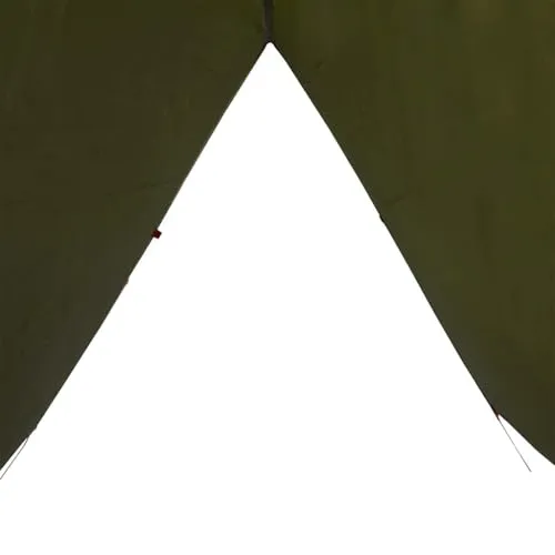 vidaXL Tarp 6