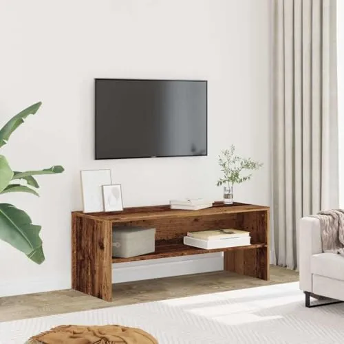 vidaXL TV-Regal 2