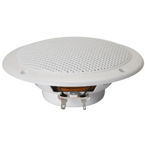 Visaton 2113 FR 13 WP 4