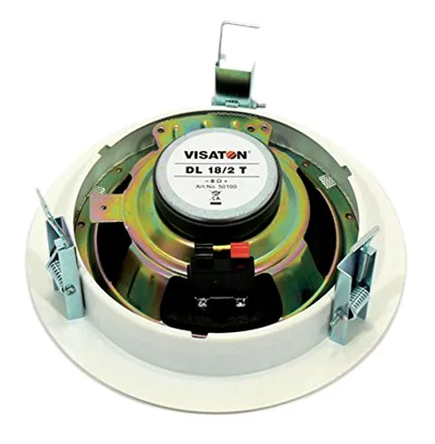 Visaton DL 18/2 T 2