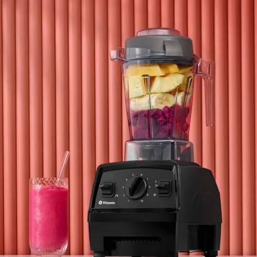 Vitamix E310 2