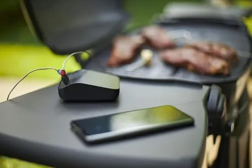 Weber Connect 3