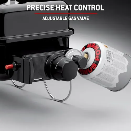 Weber Go-Anywhere 4