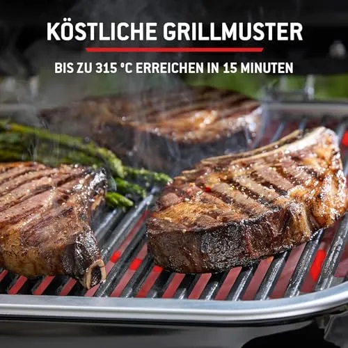Weber Lumin Compact 6
