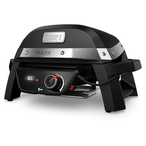 Weber Pulse 1000 2