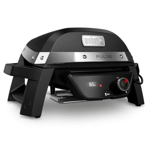 Weber Pulse 1000 3