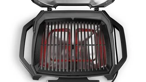 Weber Pulse 1000 6