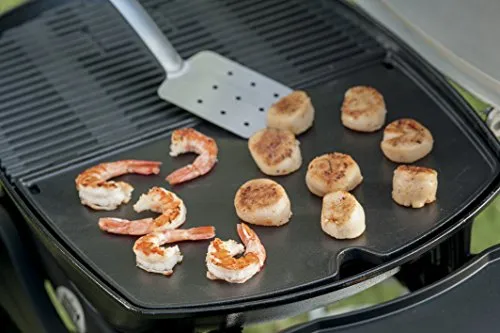 Weber Q 2000 2