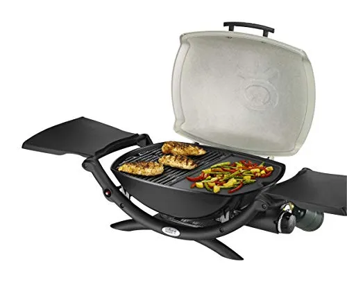 Weber Q 2000 3