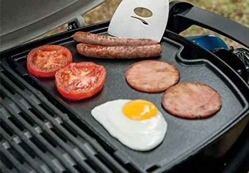 Weber Q 2000 5