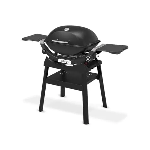Weber Q 2200N 4