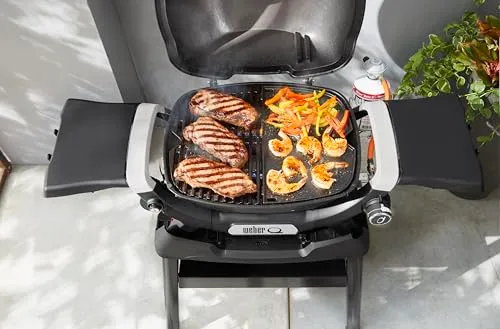 Weber Q1000N - Q1200N 3