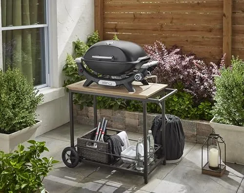 Weber Q2100N 5