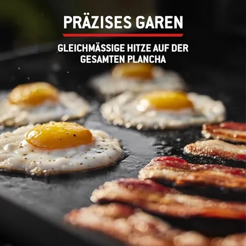 Weber Slate GP 5