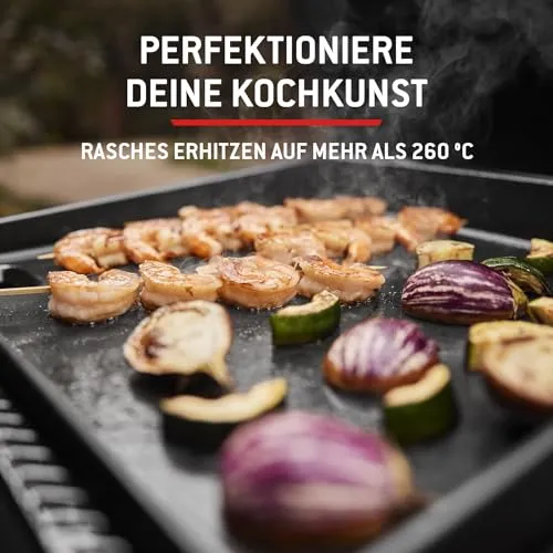 Weber Slate GP 7