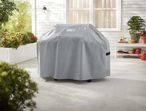 Weber Spirit 300 Series 2