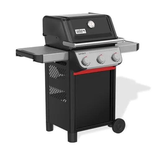 Weber Spirit E-310 3
