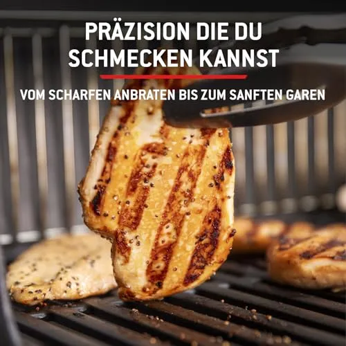 Weber Spirit E-310 6