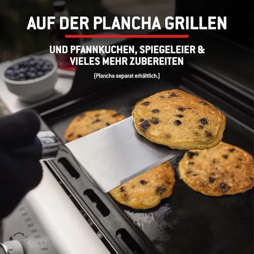 Weber Spirit E-310 7