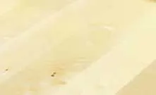 Weitzer WP Charisma Einblatt-Landhausdiele Eiche struktur