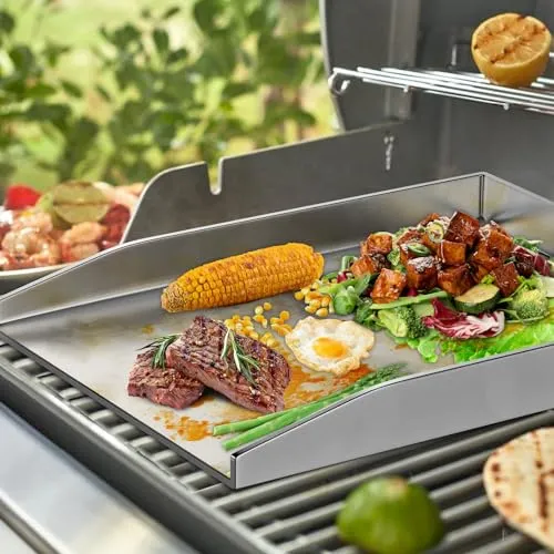 WELL GRILL Plancha 2