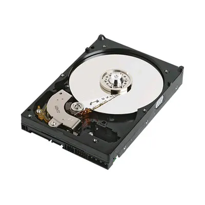 Western Digital Caviar SE WD3200JD