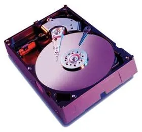 Western Digital WD Caviar RE 320GB (WD3200SB)