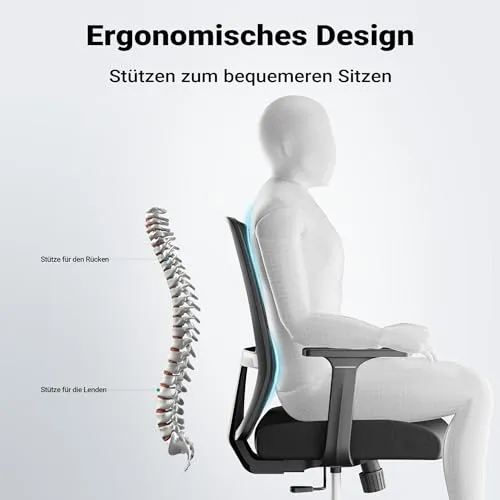 Wiltec Ergonomischer Bürostuhl UC 6