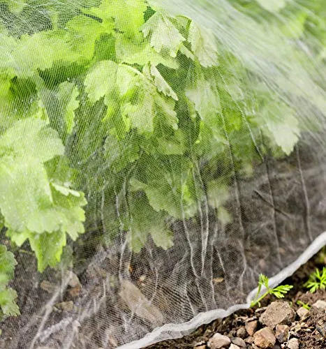 Windhager Insektenschutznetz 3