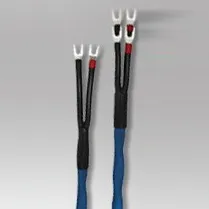Wireworld Oasis 6 2