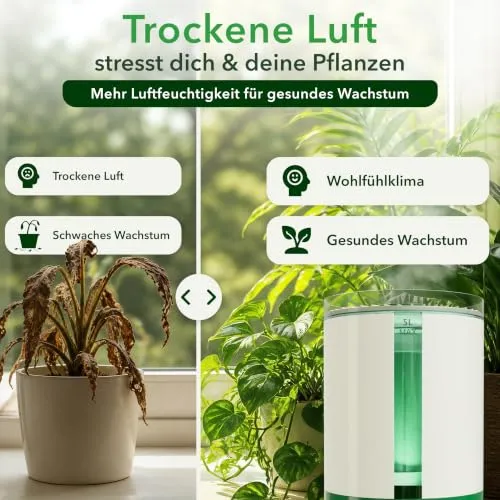 Wohlgrün SwapTop 2