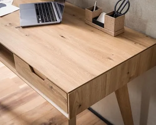 Wohnling Schreibtisch 5