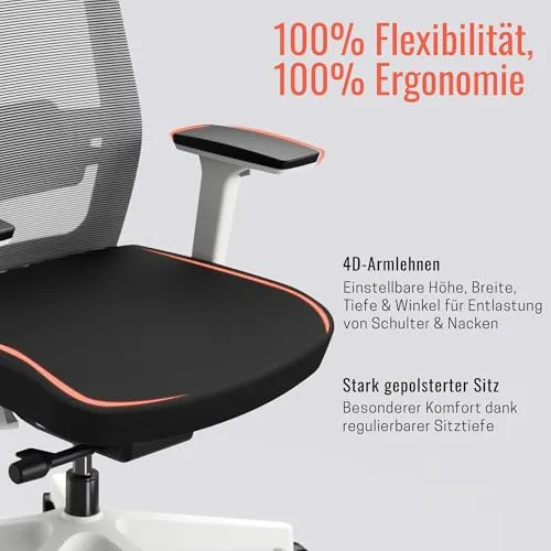 Yaasa Chair Pro 5