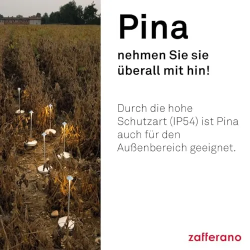 Zafferano Pina 3