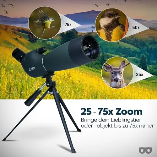 Zoomble PRO 5