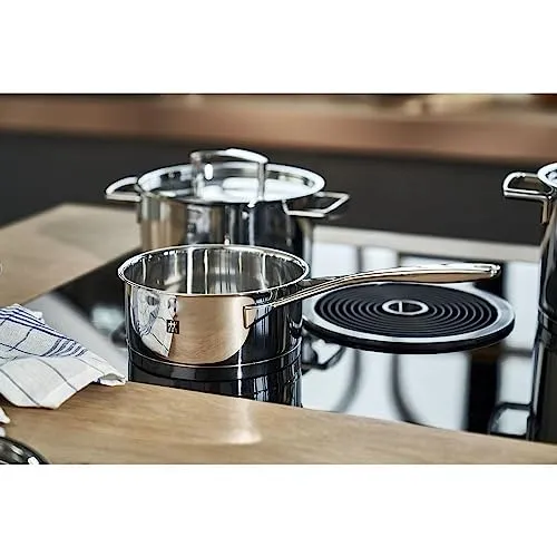 ZWILLING Passion 2